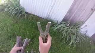 natural fork slingshot