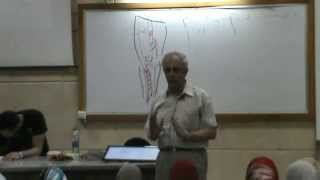 17) Dr. Medhat 29/04/2014 [ Dorsum of Foot - Anastomoses around Knee & Ankle]