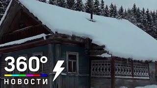 Старушка-целительница поселилась вдали от всех в Сергиево-Посадском районе