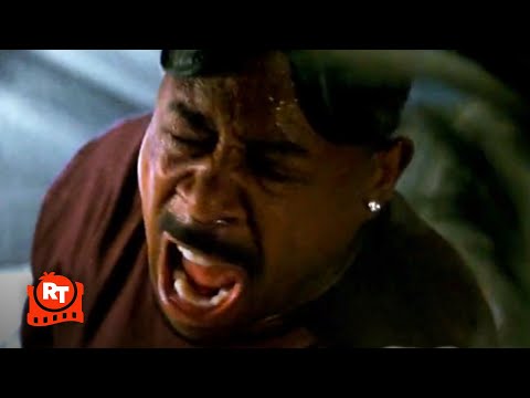 Welcome Home Roscoe Jenkins (2008) - Skunk Attack Scene | Movieclips