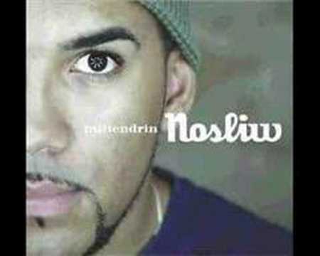 Nosliw feat Nattyflo - Begegnungen