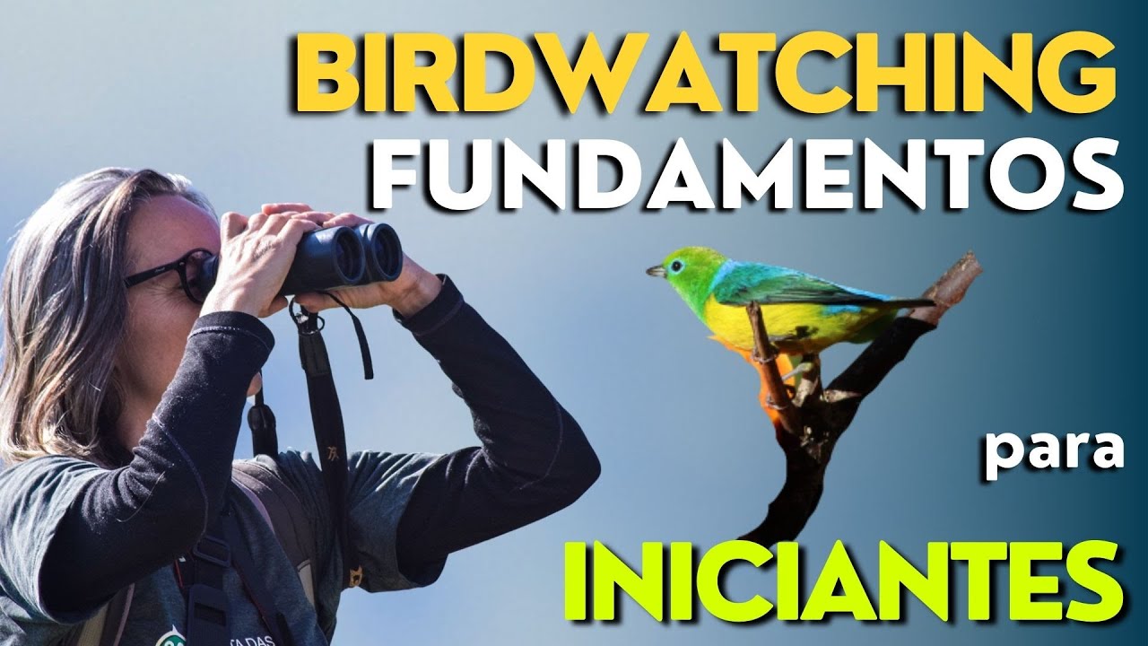 Observação de aves na prática - Aves da Mata Atlântica na Serra Mantiqueira