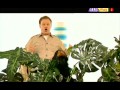 Something Special Mr Tumble Full Episodes Animals