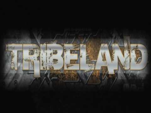 TRIBELAND 28/11/2009 @HANGARD1 Ostend