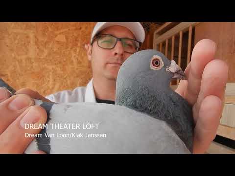 Dream Van Loon/Klak Janssen