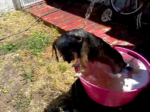 My daughter takin a bath