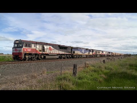 Fox Chases SCT 5PM9 Freight Train! - PoathTV Australian Railways