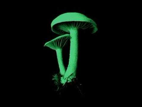 BLACKSMOKE-SOUNDTRACK OF YOUR LIFE