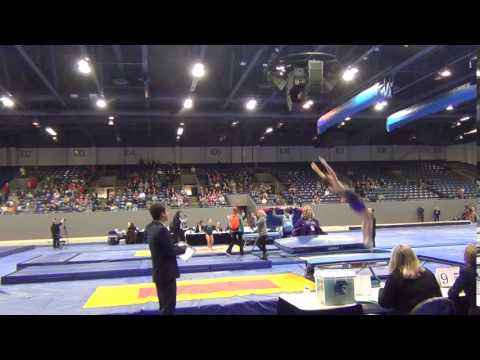 Alex Renkert - Double-mini - Pass 1 - 2017 Winter Classic Finals