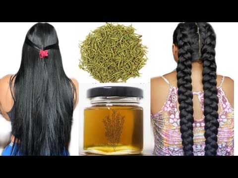 , title : 'Hair care routine for long and healthy hair, 4k rosemary for , Cloves and rosemary for hair double,'