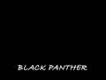 Black Panther's Theme 
