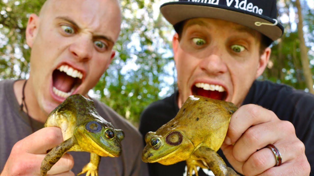 Watch video Frog Leg Cook-Off!! Sibling Rivalry! Now Frog Leg Cook-Off!! Sibling Rivalry!