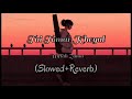 Tai Tomar Kheyal By Miftah Zaman Slowed Reverb X No Love