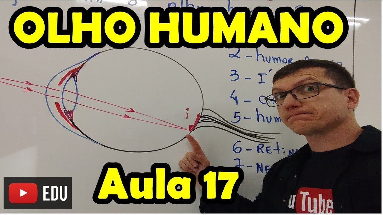 COMO FUNCIONA O OLHO HUMANO??? Óptica da VISÃO - AULA 17 - Prof BOARO