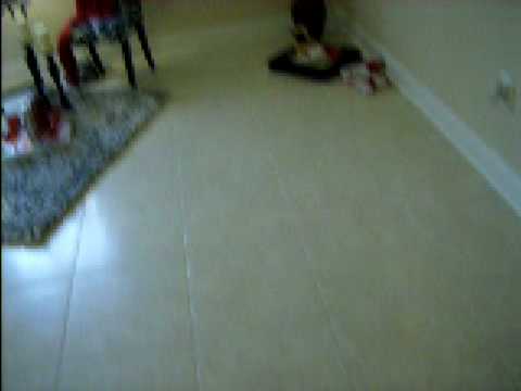 1 Beds INTERIORS- 813-598-3134 Hyde Park Tampa Condo Rentals & South Tampa Apartments!!