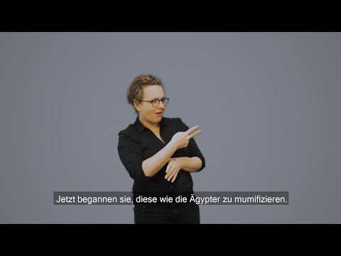 OEGS - Mumienportrait - Dame mit Nestfrisur