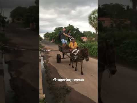 PARÓDIA MALVADÃO 3 ROGÉRIM PRESSÃO (GASOLINA CARA DO CÃO)