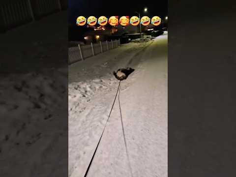 i co mi zrobisz🥰#shorts#