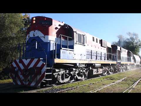 [4K] Variado y colorido tren cargado de NCA con destino a Rosario pasando por Marcos Juárez!!!!!!