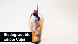 Loliware: The First And Only Biodegr(edible) Cups