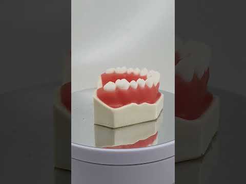 MAXILA PARA GENGIVECTOMIA 1 - cód. 4052