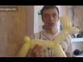 Собачка из шарика. Как сделать собачку из шарика 