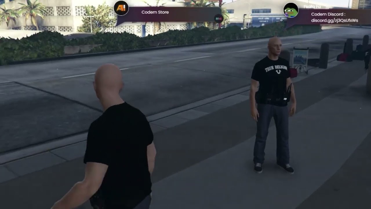 Codem Me Do Chat (Discord Avatar) [ESX - QB] thumbnail 6