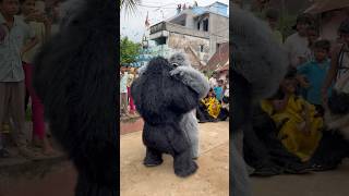 Download lagu Varsha Pai Gorilla 🦍 dancing 😱#status #trending #video #youtube #explore #love mp3 Download lagu Varsha Pai Gorilla 🦍 dancing 😱#status #trending #video #youtube #explore #love mp3