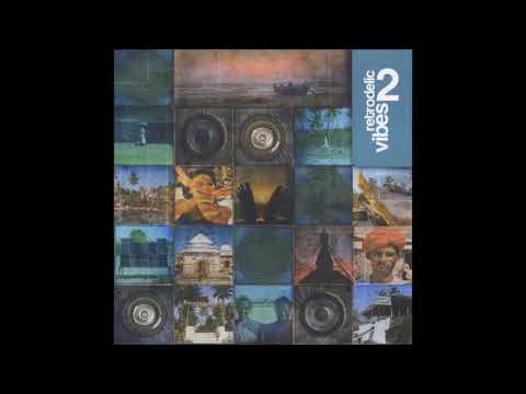 VA  - Retrodelic Vibes 2 (2005)