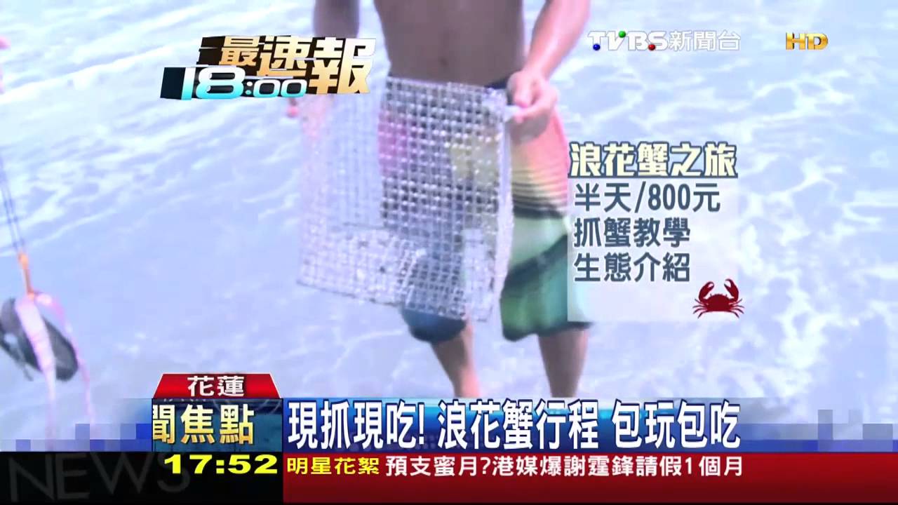 岸上抓螃蟹　半天體驗「浪花蟹之旅」