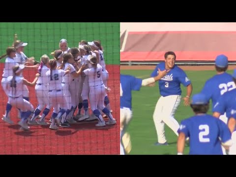 Anthony Wayne making history with baseball, softball teams making state championship runs simultaneo
