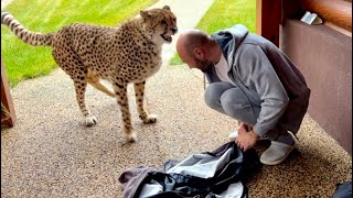 Герда неожиданно зашипела и отпрыгнула от Саши! Мы так и не поняли что произо