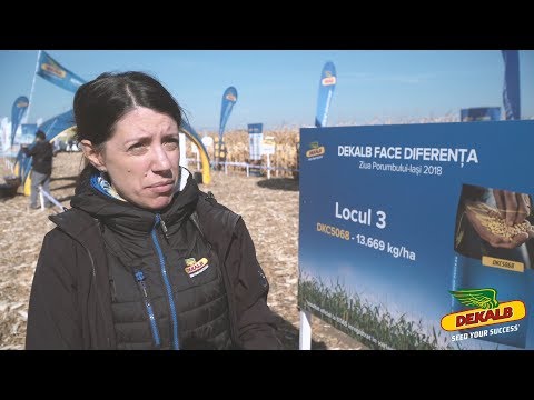 Hibridul DKC5068 - Locul 3 la Ziua Porumbului Iași 2018