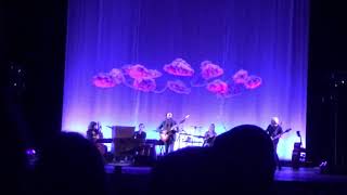 “About a Bruise” - Iron & Wine live in Ann Arbor, 11.2.18