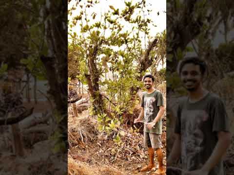 shrivardhan love ❤#shrivardhan #nature