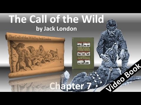 Chapter 07 - The Call of the Wild by Jack London - The Sounding of the Call
