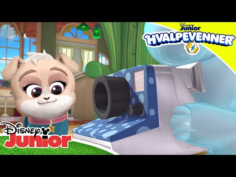 Hvalpevenner | Fotogene hvalpe 🎥 | Disney Junior Danmark