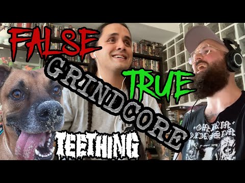 Wheelmust Podcast #1 FALSE GRIND with LUIS IFER