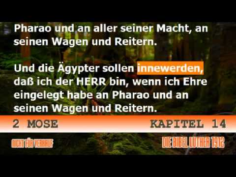2 Mose 14