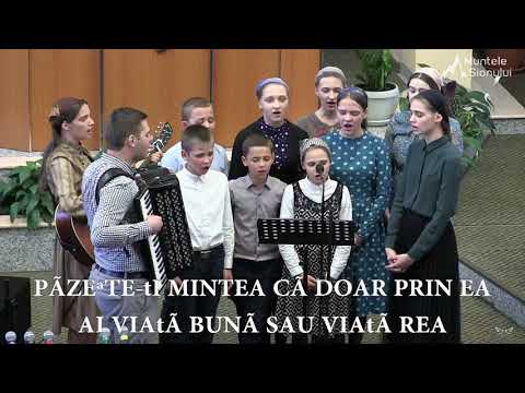 Fratii Tomus - Pazeste-ti mintea ca doar prin ea ai viata buna