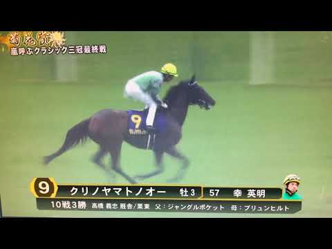 2017.10.22 第78回 菊花賞（G1）【本馬場入場】