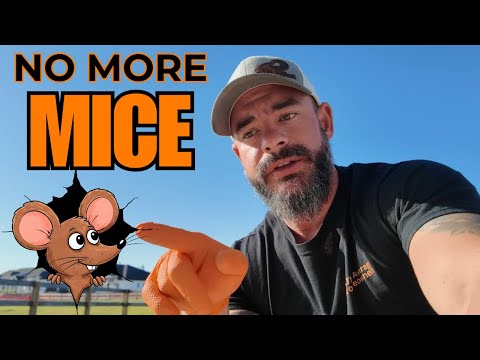 A Guaranteed Way To Get Rid of Rodents/Mice Fast!