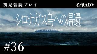 【初見プレイ】シロナガス島への帰還 #36【Return to Shironagasu Island/ネタバレ注意】