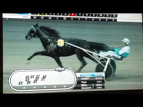 V75 Solvalla DD 1 Svenskt Trav-Kriterium Brambling