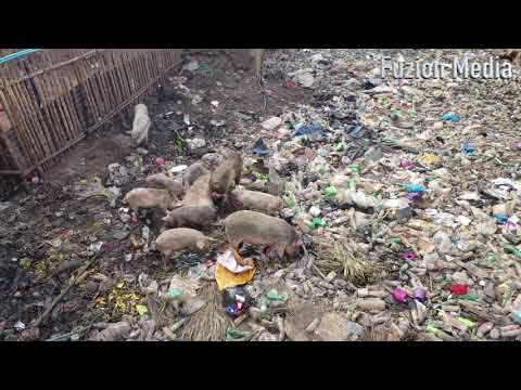 Susan’s Bay Freetown, Sierra Leone by Mustapha Samai aka Fuzion Media