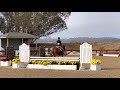 Gold Mine Champion Large Children S Pony Hunter 2 6 SHP