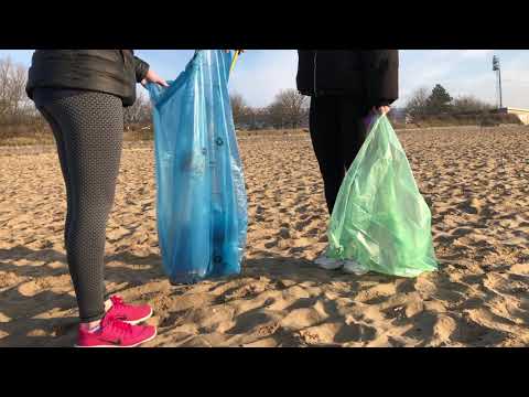 beach clean interview