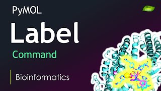 Download the video "PyMOL Tutorial | Label Command | Molecule Visualization | Bioinformatics | Basic Science Series"