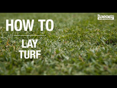 How To Lay Turf - Bunnings Warehouse