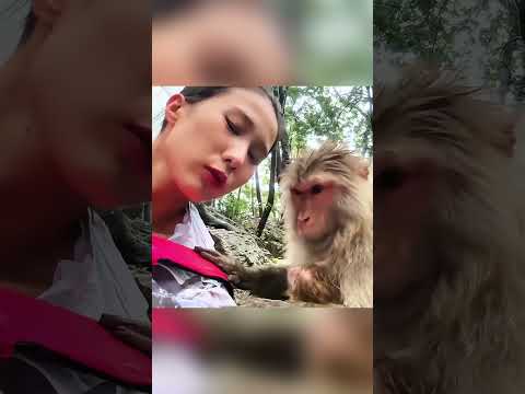 🐒 كانت تتظاهر كل يوم من أجل صداقتها مع القرد ❤️